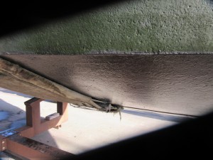 IMG 8025